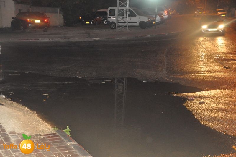 majary wa7a 1204 (15).JPG